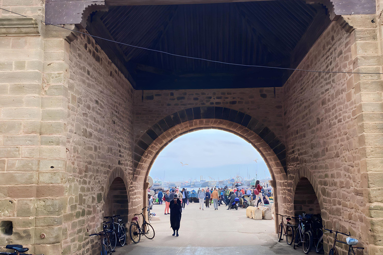 Day trip to Essaouira