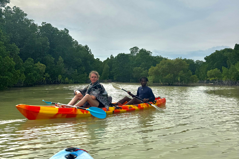 KajakmangroveturKajakpaddling i mangroveträsket