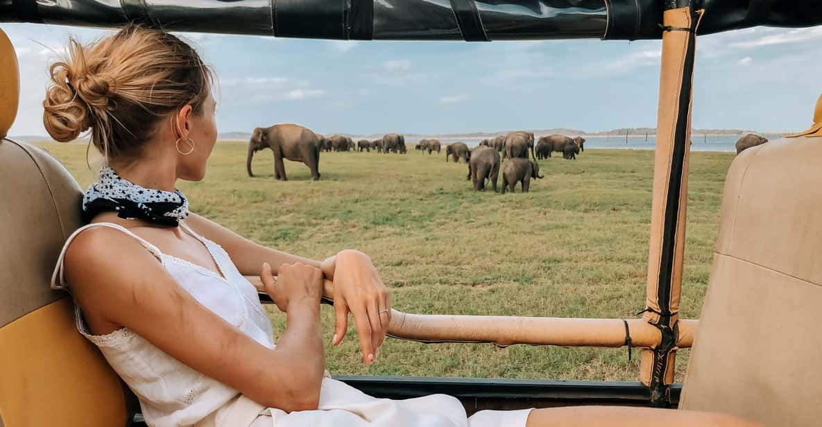 Minneriya National Park Safari im 4x4 GetYourGuide