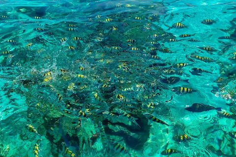 Cartagena: Rosario Islands, Baru, and Cholón Sightseeing Tour with Snorkeling and Lunch