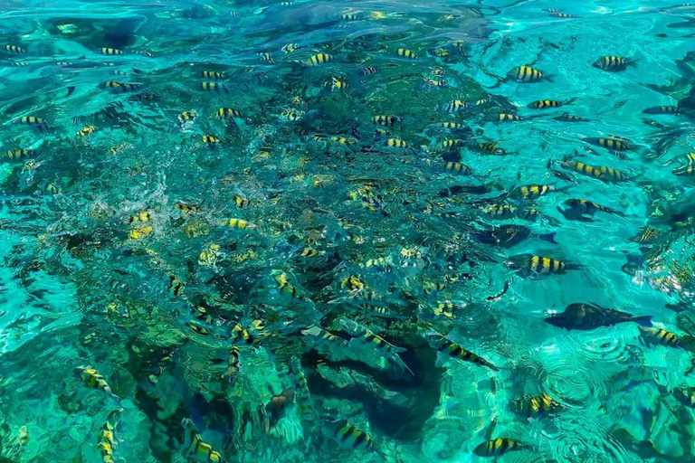 Cartagena: Rosario Islands, Baru, and Cholón Sightseeing Tour with Snorkeling and Lunch