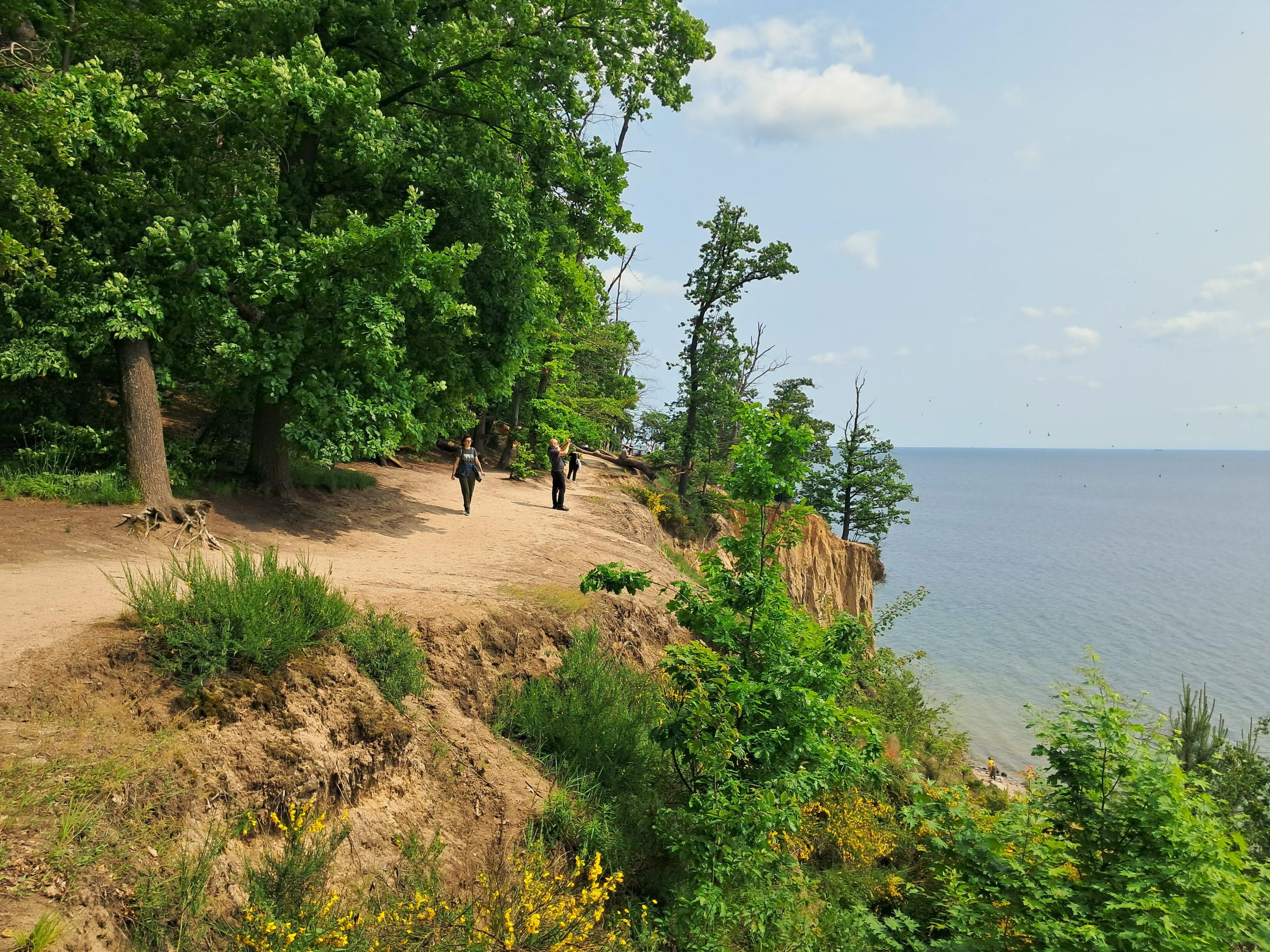 Gdynia: Geführter Rundgang durch Wald, über Klippen und am Strand