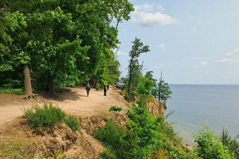 Gdynia: Forest, Cliff, and Beach Guided Walking Tour