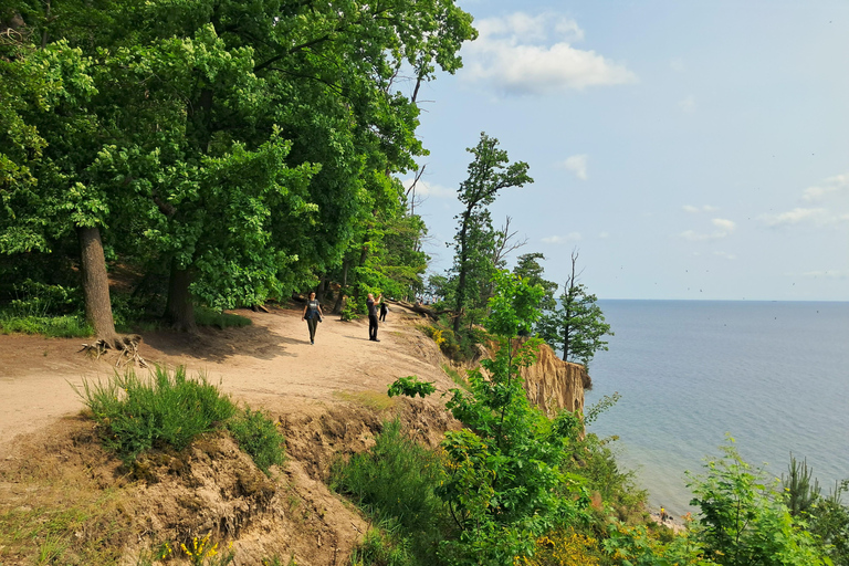 Gdynia: Forest, Cliff, and Beach Guided Walking Tour