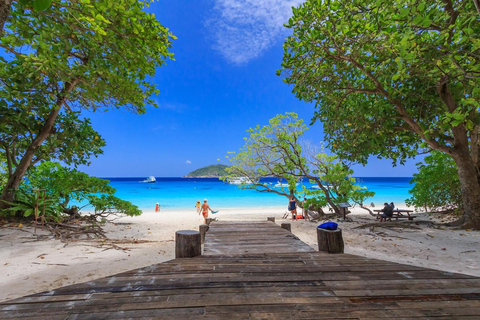 Phuket: Similan Islands Speedboat Tour with Lunch