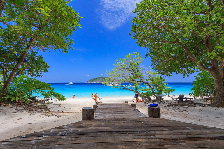 Phuket: Similan Islands Speedboat Tour with Lunch