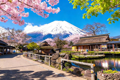 Tokyo: Mt Fuji & Arakurayama& Oshino Hakkai&Lake Kawaguchiko 8:00 AM | Shinjuku Station, West Exit