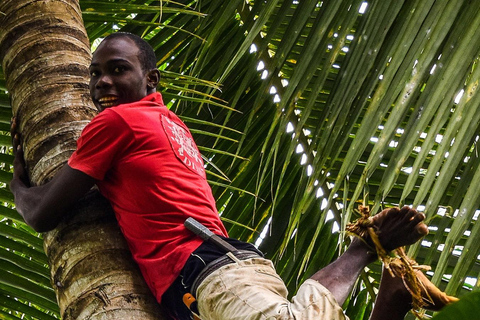 Spice Farm - apimente sua vida em Zanzibar