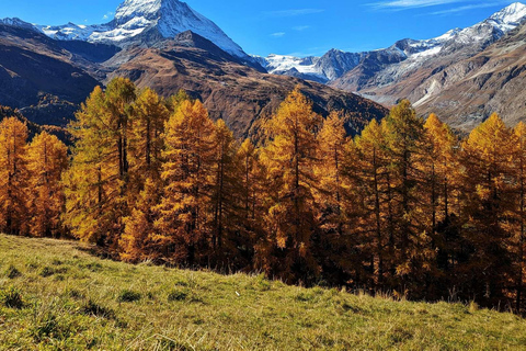 Zermatt: Gornergrat and Riffelsee Guided Hiking Tour