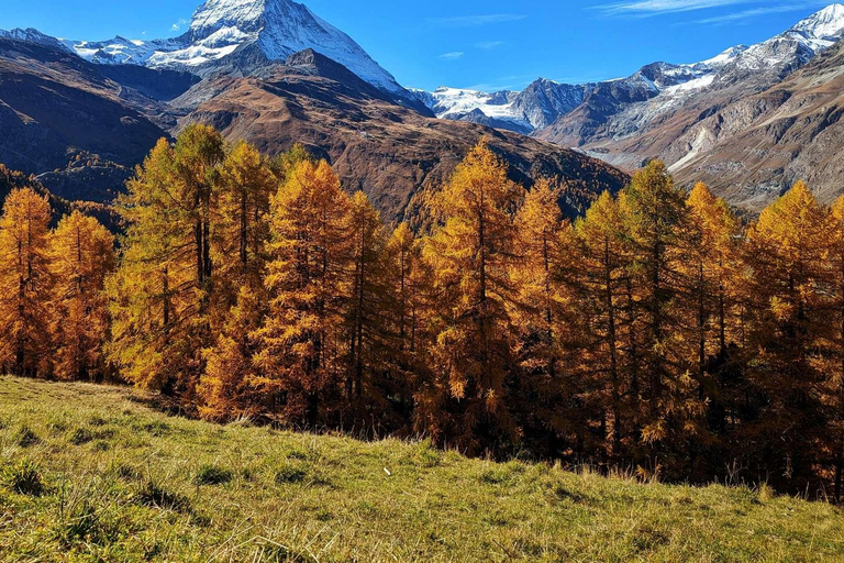Zermatt: Gornergrat and Riffelsee Guided Hiking Tour
