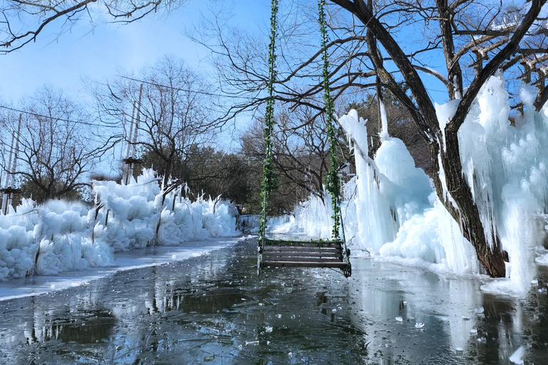 Gyeongju Winter Trip: Ice River+Bulguksa+Woljeong From Busan Shared Tour from Busan Subway Station Exit 2