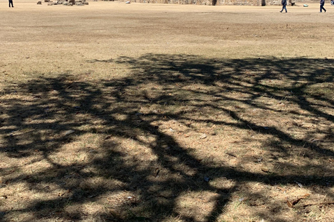 Tour guiado a Monte Albán. Sin trampas para turistas