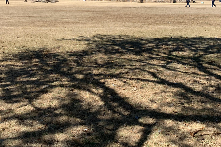 Tour guiado a Monte Albán. Sin trampas para turistas