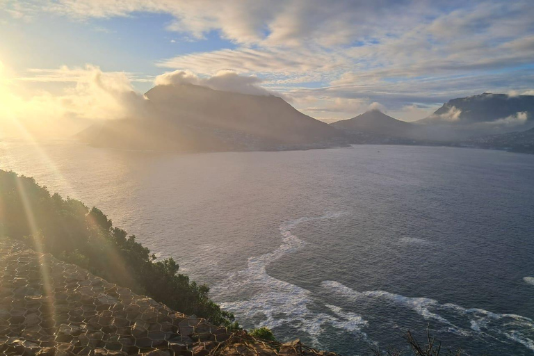 Cape Town: Table Mountain, Noordhoek, and Cape of Good hope