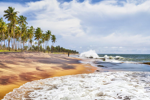 Negombo Day Trip: Dutch Forts, Canals & Seafood