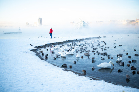 Oslo: Photography Tour With Pro Photographer & Free Photo