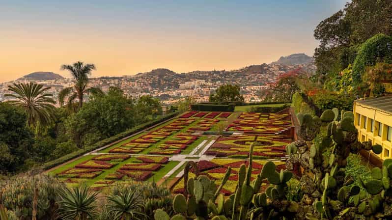 Funchal: Visita guiada de Tuk Tuk à Zona Velha e Jardim Botânico