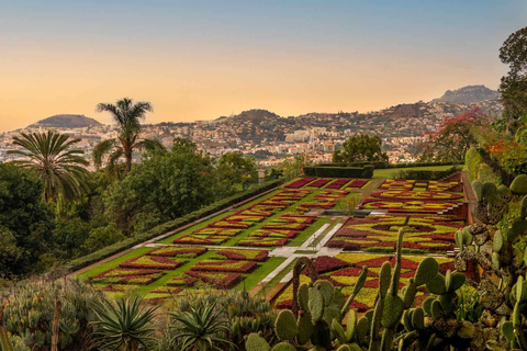 Funchal: Guidad Tuk Tuk-tur och botaniska trädgårdar