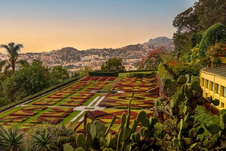 Funchal: wycieczka z przewodnikiem Tuk Tuk i ogrody botaniczne