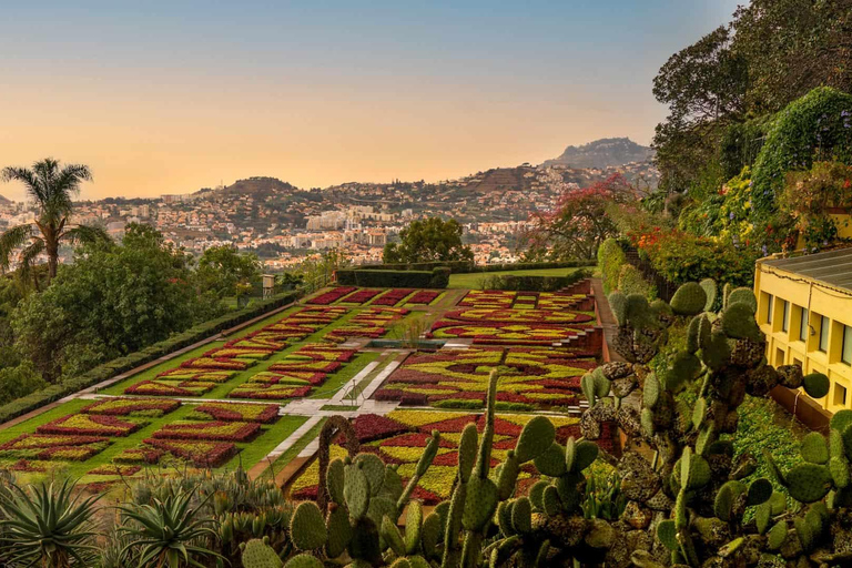 Funchal: tour guiado en tuk tuk y jardines botánicos