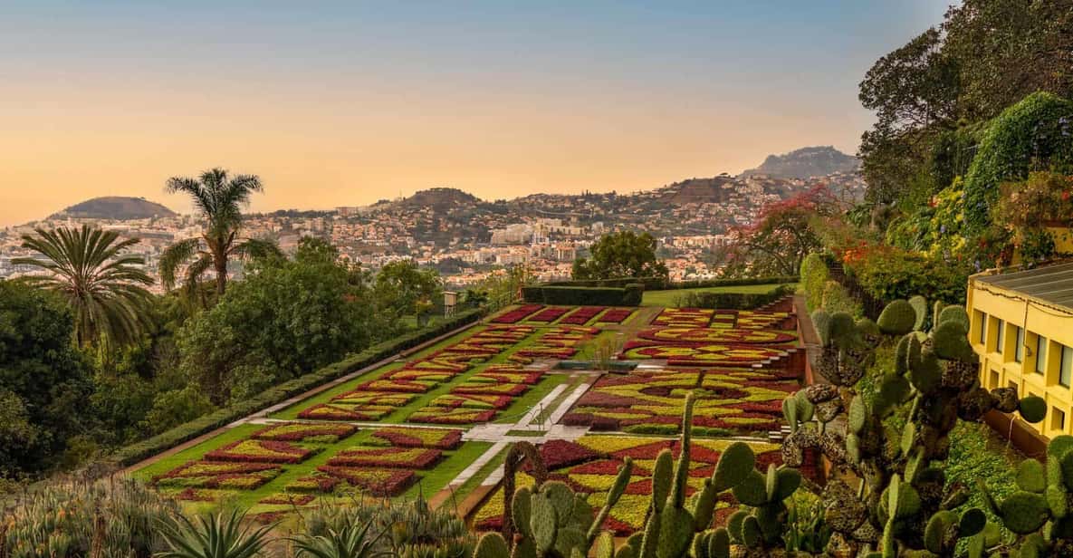 Funchal Geführte Tuk Tuk Tour durch die Altstadt und die Botanischen