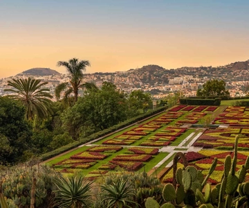 Funchal: Wycieczka z przewodnikiem po Starym Mieście i Ogrodzie Botanicznym