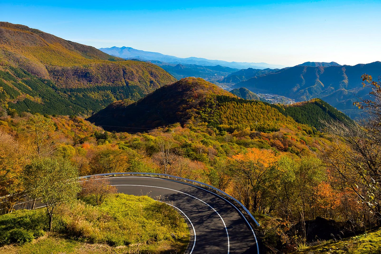 From Tokyo: Nikko Toshogu Shrine and Lake Chuzenji Day Trip Private Sightseeing Tours