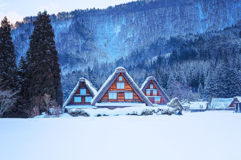 Nagoya: Shirakawa-go & Hida Takayama Old Streets Day Tour