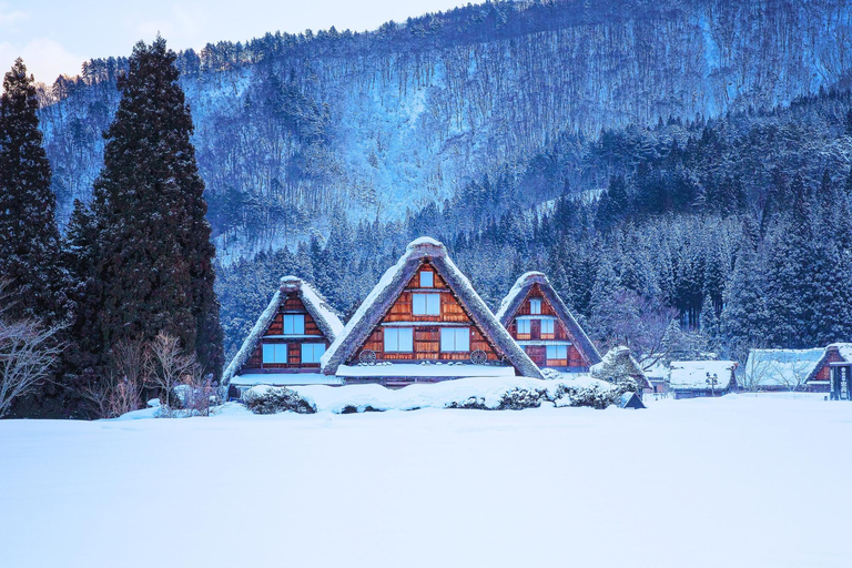 Nagoya: Shirakawa-go & Hida Takayama Old Streets Day Tour
