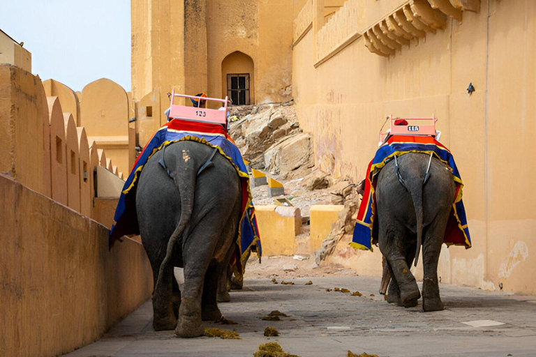 From Agra: To Jaipur Full Day Tour Jaipur All Inclusive Tour & Agra Drop Off