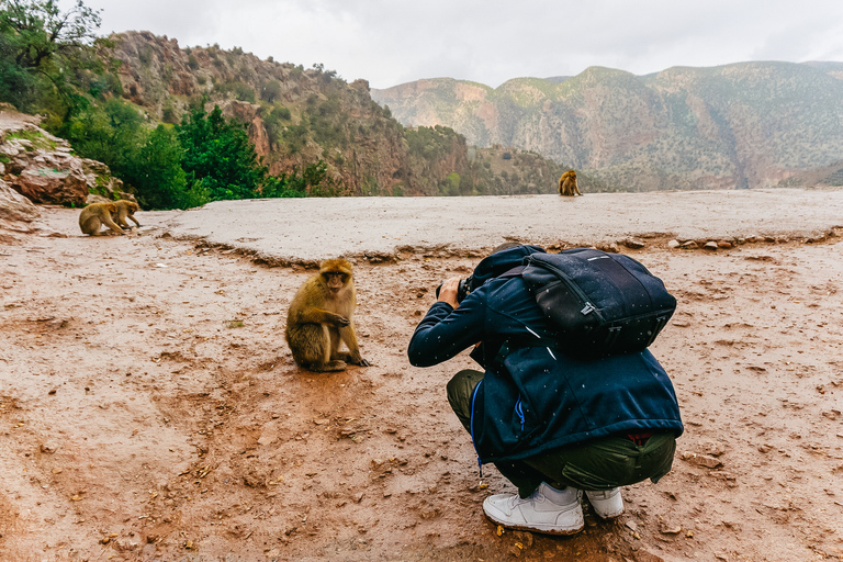 From Marrakech: Ouzoud Waterfalls Guided Hike and Boat TripPrivate Tour in French