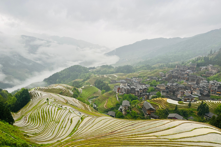 From Guilin/Yangshuo: Longji Rice Terraces Private Tour From Guilin: Longji Rice Terraces Private Tour