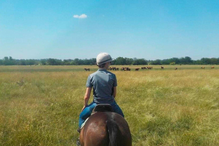 From Buenos Aires: Horseback Riding with BBQ