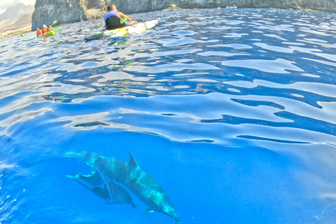 Tenerife: Turtle Bay - Kayak Rental with Drink and Equipment