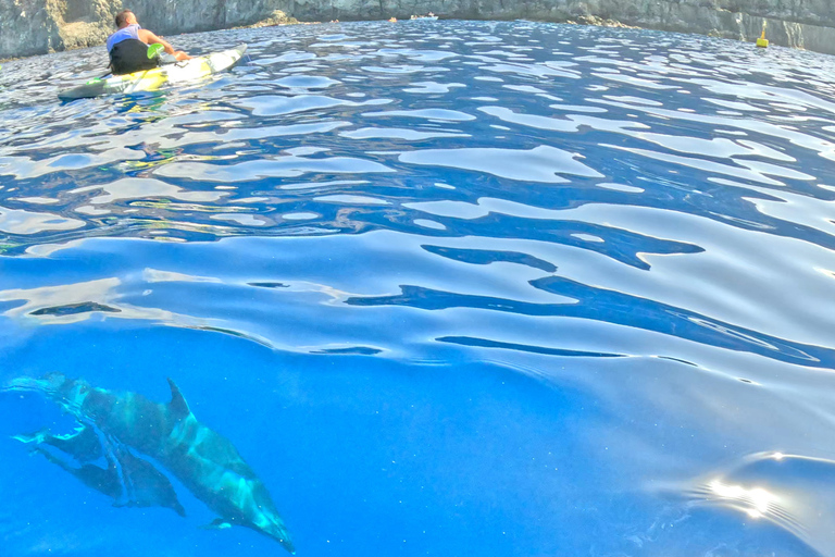 Tenerife: Turtle Bay - Kayak Rental with Drink and Equipment