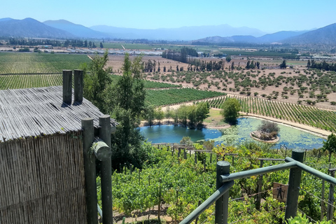 Wineries Tour in Casablanca Valley from Valparaiso Shared tour