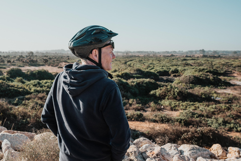 Agadir E-Bike Tour: Flamingos, nature & local stories Explore agadir by e-bike with shine n ride