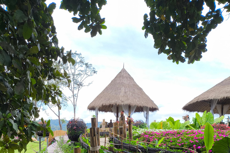 Chiang Mai: Pro Private Driver Service with Custom Itinerary
