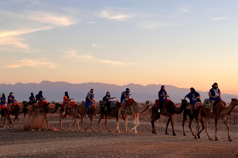 Sunset Camel Ride in Desert &amp; Palm Grove with Tea &amp; Transfer