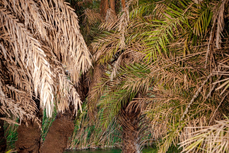 Panormo/Lavris: 1-dniowa wycieczka na plażę Preveli i do wąwozu Kourtaliotis