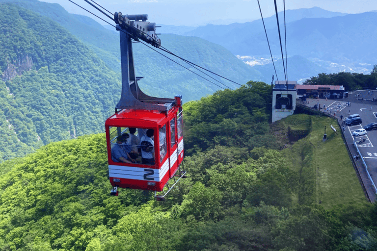 From Tokyo: Nikko UNESCO Shrine and Nature View Day Tour From Tokyo
