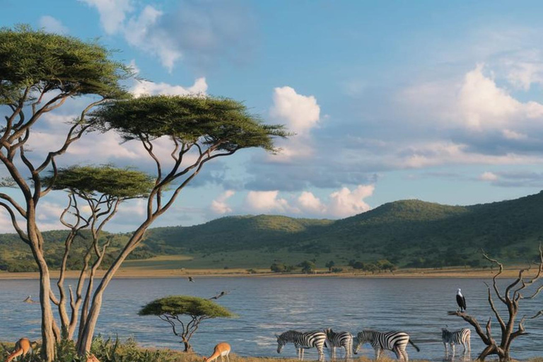 Uganda: 10-Day Luxury Safari with Gorilla Trekking