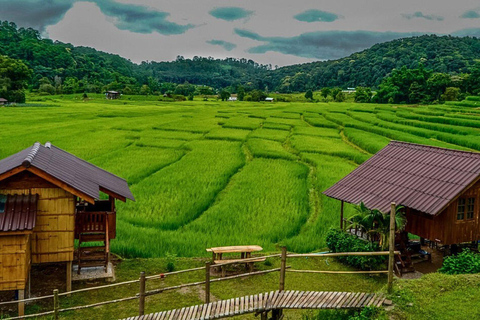 Chiang Mai : Parc national de Doi Inthanon et randonnée Pha Dok Siew