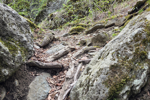 Hiking the Secret Rkoni: Historic Path & Forest Picnic