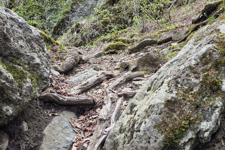 Hiking the Secret Rkoni: Historic Path & Forest Picnic