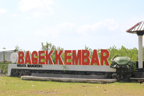 Bagek Kembar: Mangrove & Stingless Beekeeping Experience