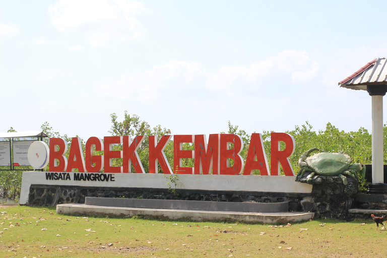 Bagek Kembar: Mangrove & Stingless Beekeeping Experience
