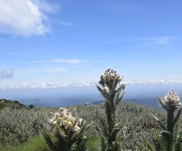 Elephant Hills Hike: 1-Day Adventure from Nairobi/Naivasha