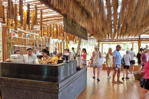 From Koh Samui: Tree Bridge Zipline and Café Experience