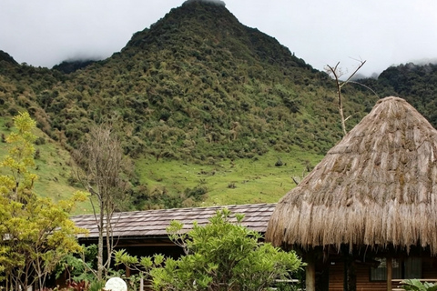 Quito: Spa at Termas de Papallacta, Polylepis Forest, Lagoon, and Snow-Capped Mountain Quito: Spa at Termas de Papallacta, Polylepis Forest, Lagoon, and Mountain